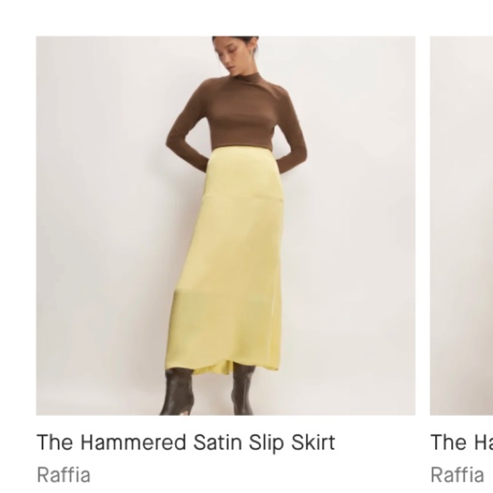 Everlane hammered satin skirt